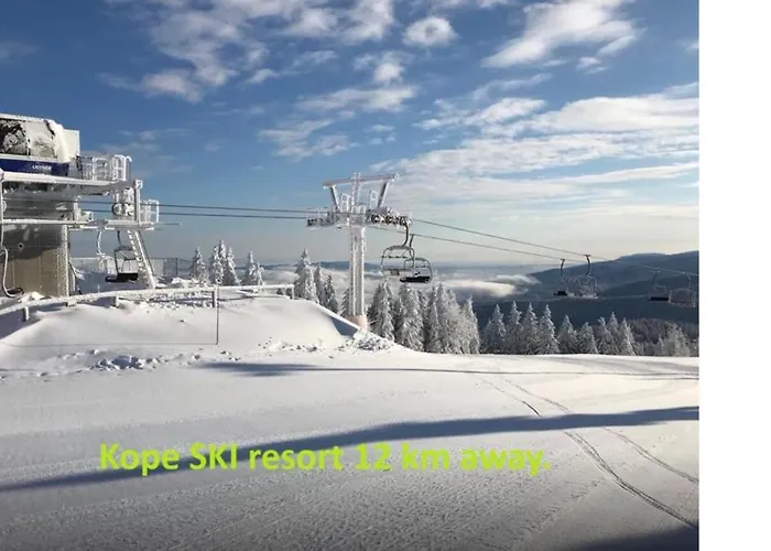 Marja Slovenj Gradec